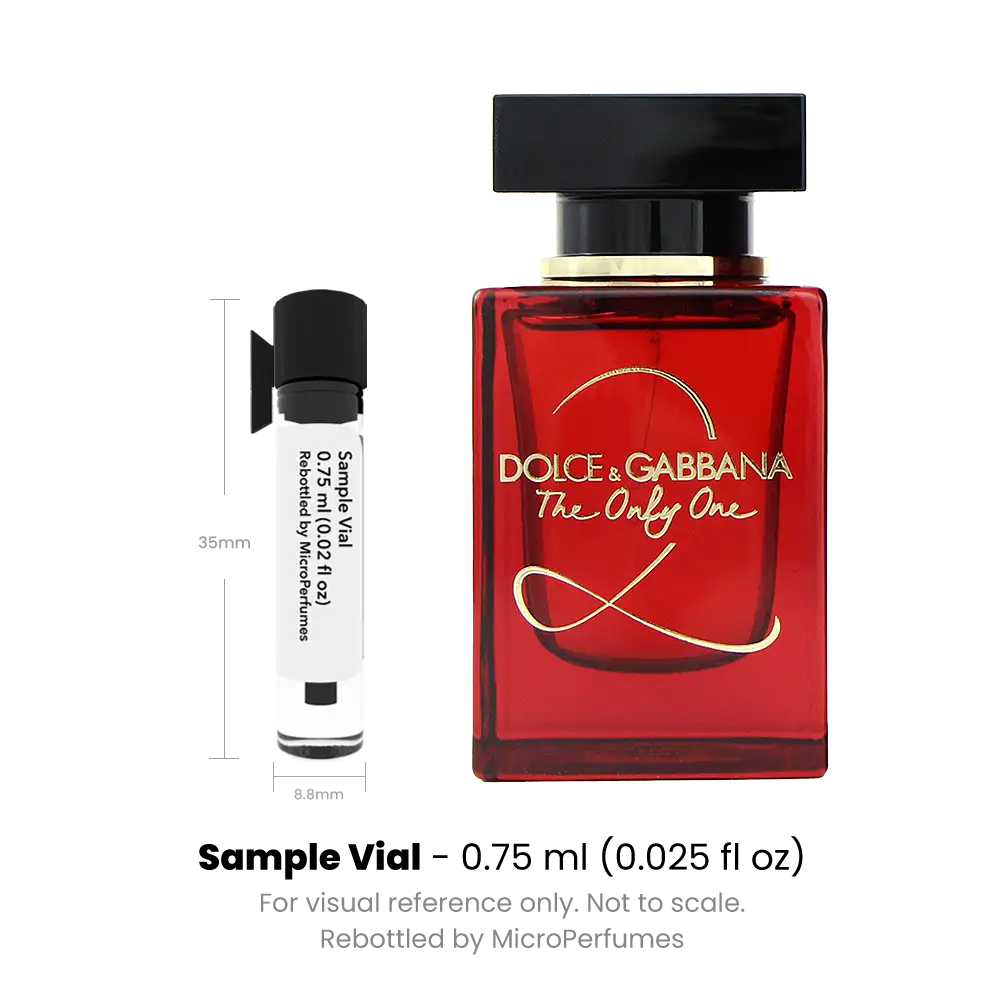 The Only One 2 by Dolce & Gabbana