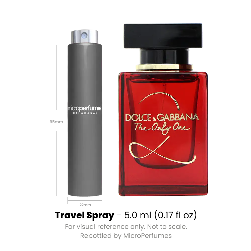 The Only One 2 by Dolce & Gabbana